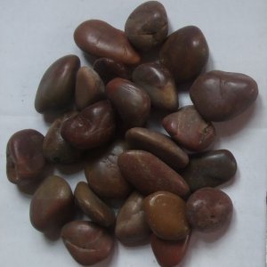 Red Pebble PT004